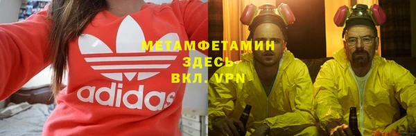 индика Алексин