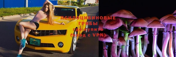 индика Алексин