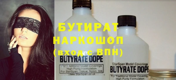индика Алексин
