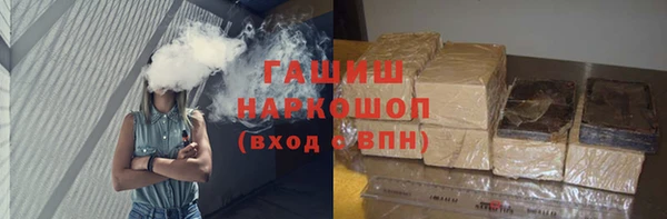 индика Алексин