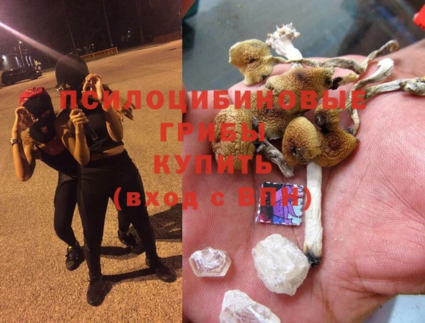 гидра Алзамай