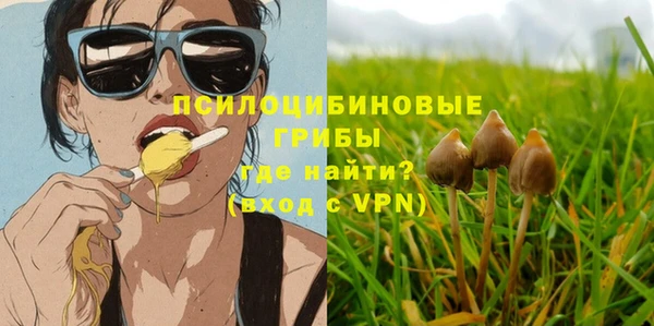 индика Алексин