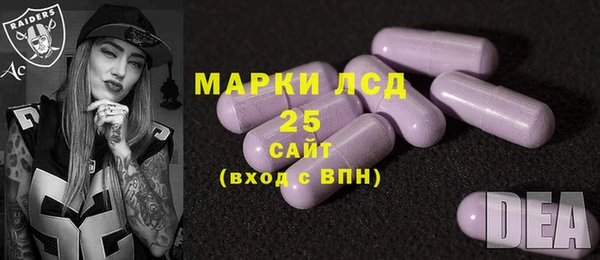 индика Алексин